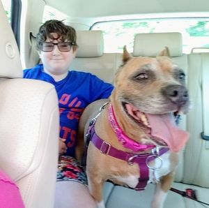 Meet your Posher, Megan